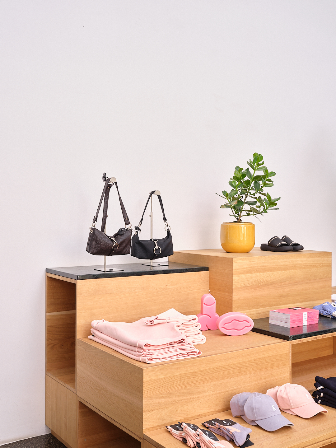 handtaschen, auslage, laden, pflanze, zubehör