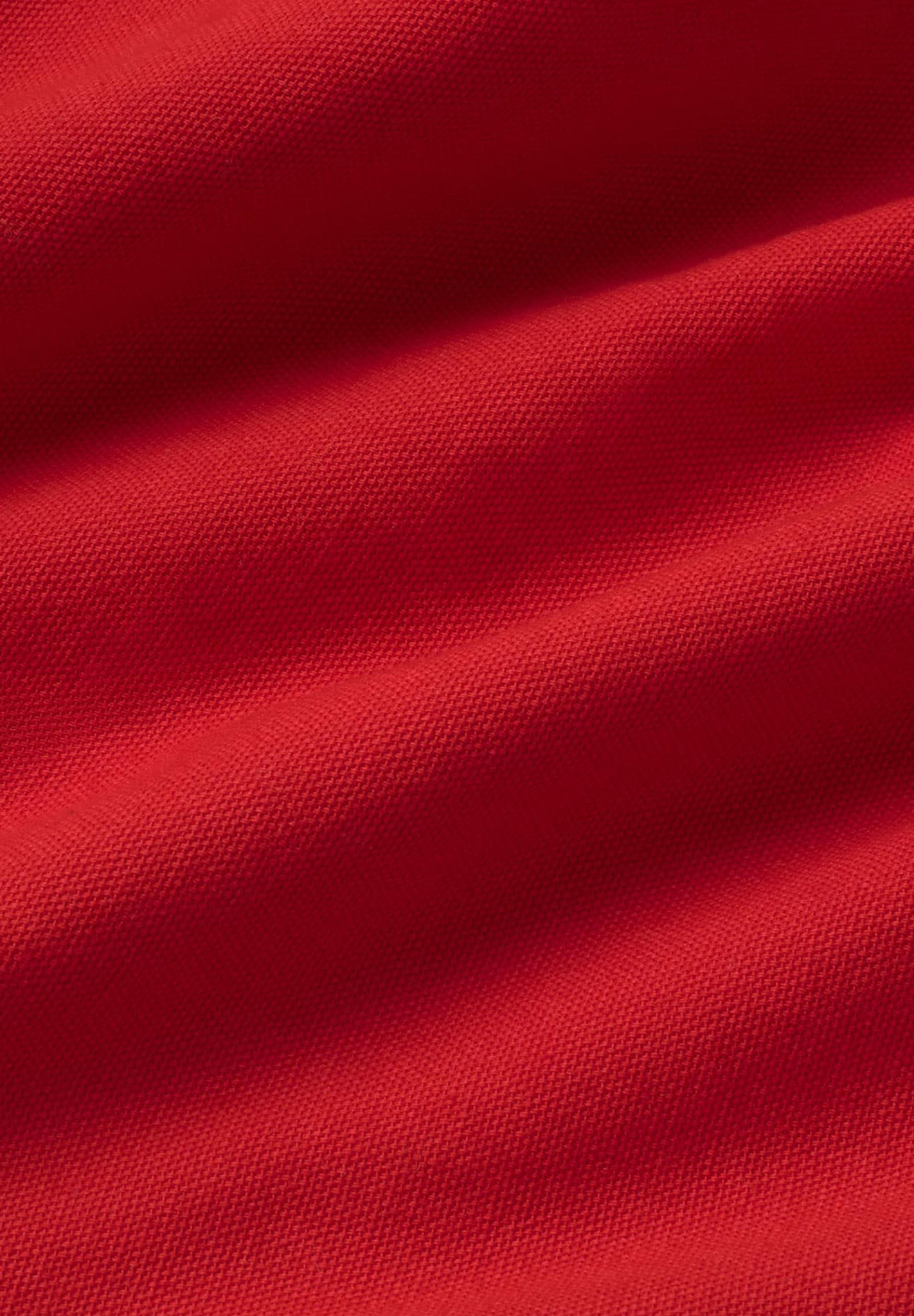 THINKING MU Lia Shorts