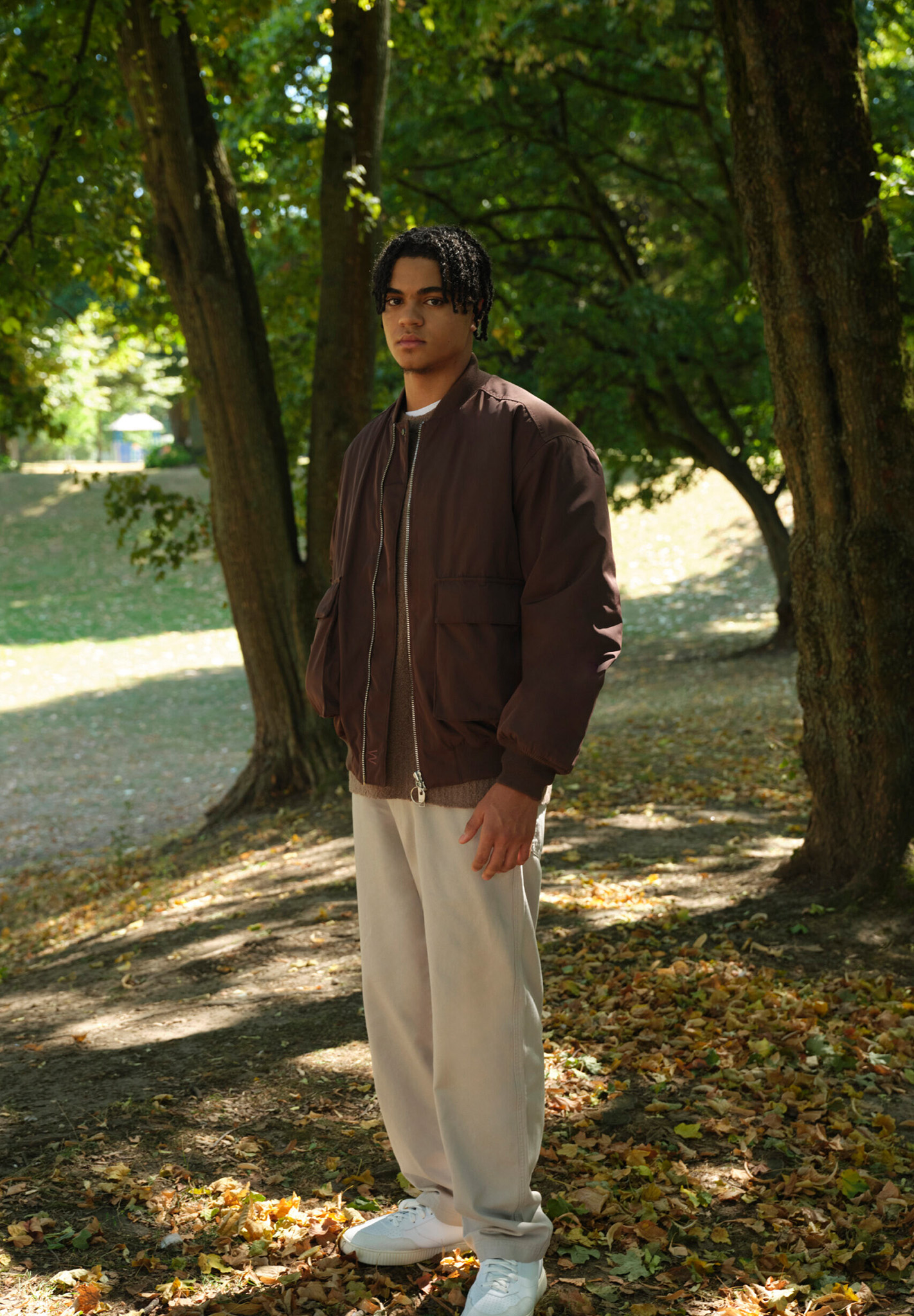 Stehend, Hain, Baum, Vegetation, Waldland