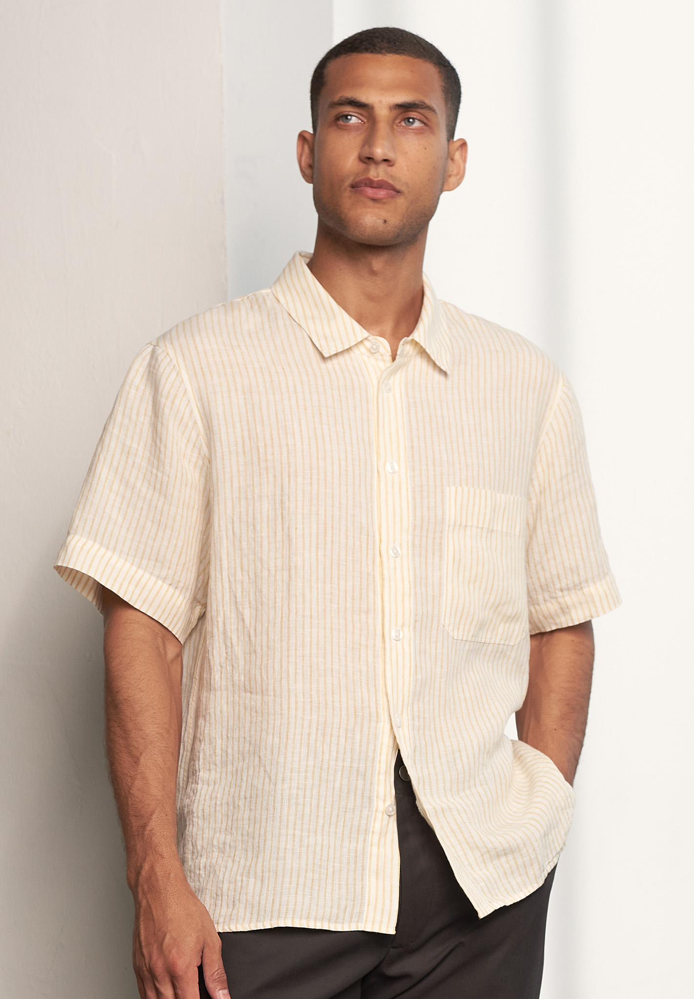 Hemd, Ärmel, Erwachsener, Mann, Person